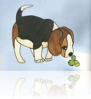 beagle